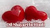 Dil Shayari In Hindi | दिल शायरी हिन्दी में